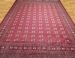 BOKHARA 2 PLY  Carpet